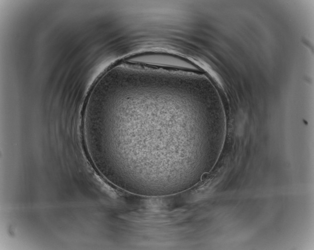 X0000098160799200804241802