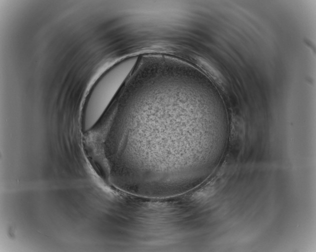 X0000098160800200804241802