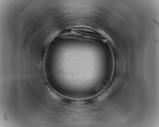 X0000098160801200804241802