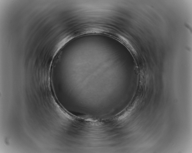 X0000098160802200804241802