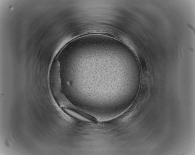 X0000098160803200804241802