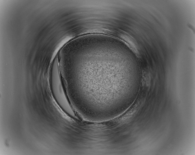 X0000098160804200804241802