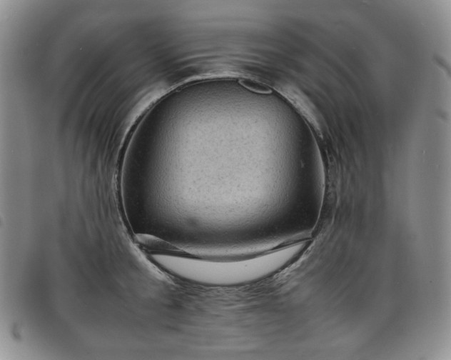 X0000098160805200804241802