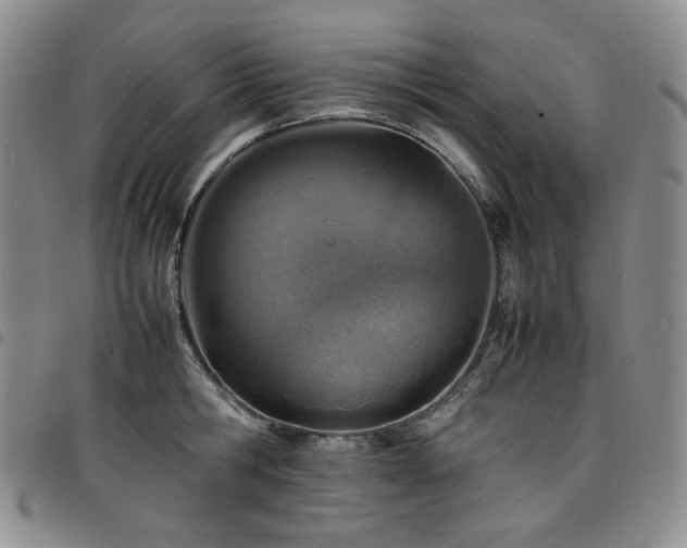 X0000098160806200804241802