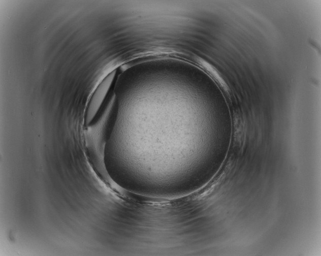 X0000098160810200804241802