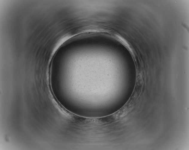 X0000098160811200804241802