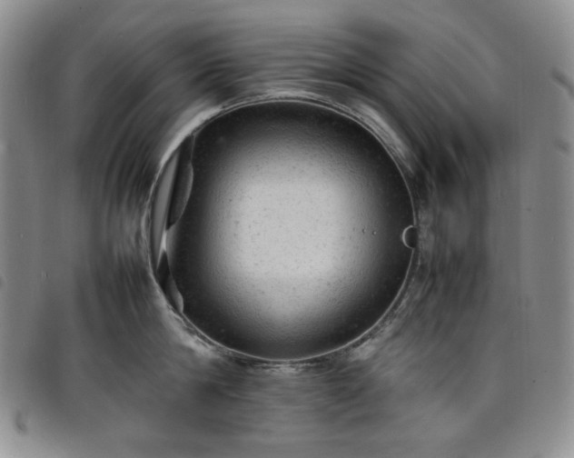 X0000098160814200804241802