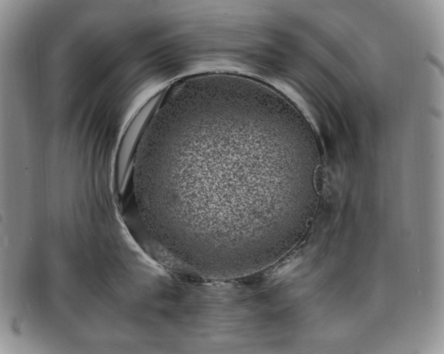 X0000098160815200804241802
