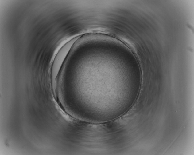 X0000098160816200804241802