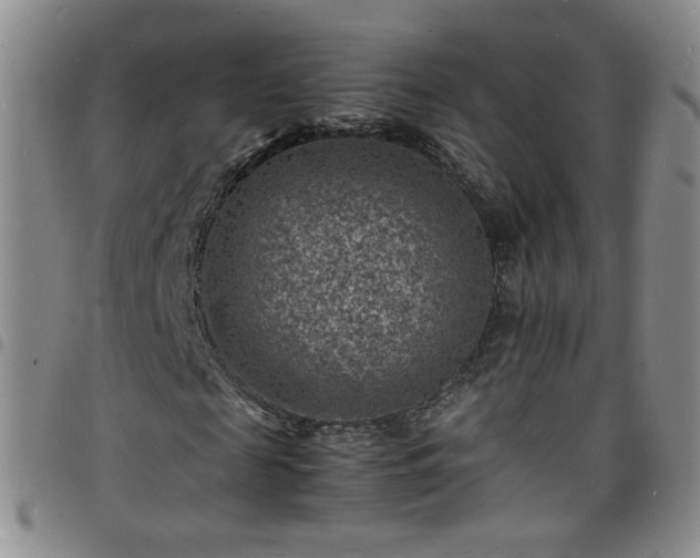 X0000098160817200804241801