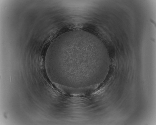 X0000098160818200804241801