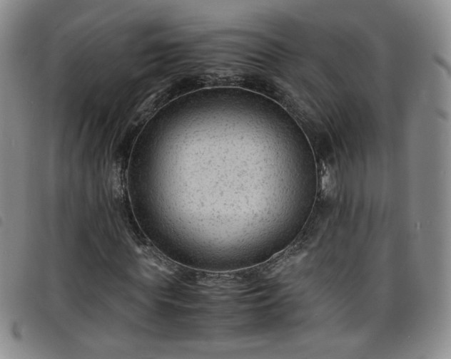 X0000098160819200804241801