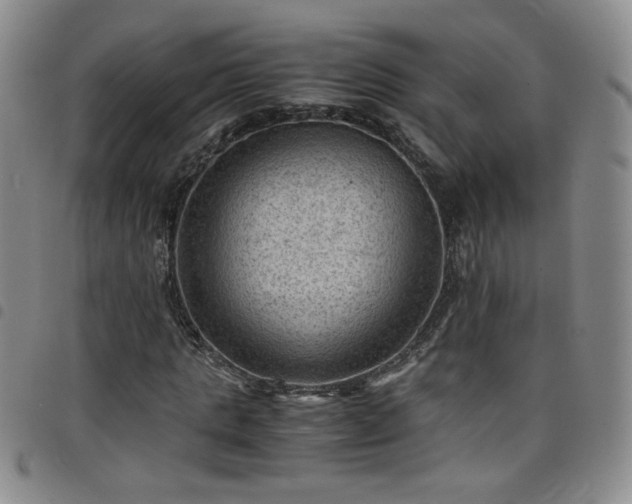 X0000098160821200804241801