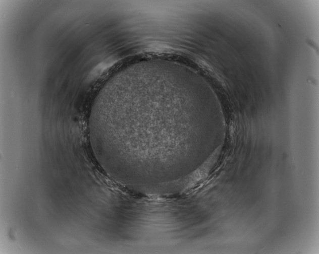 X0000098160822200804241801