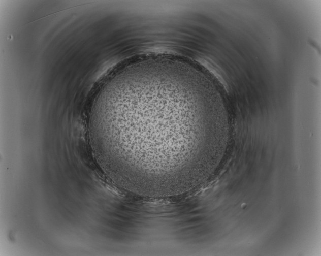 X0000098160823200804241801