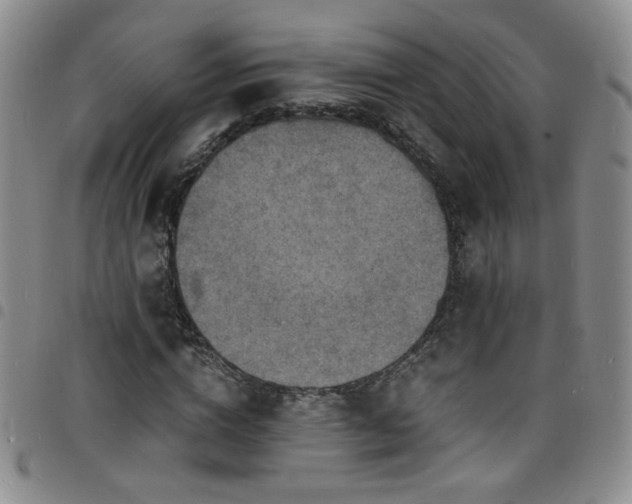 X0000098160824200804241801