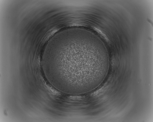 X0000098160825200804241802