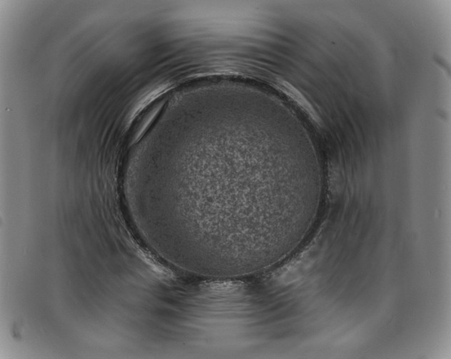 X0000098160826200804241802