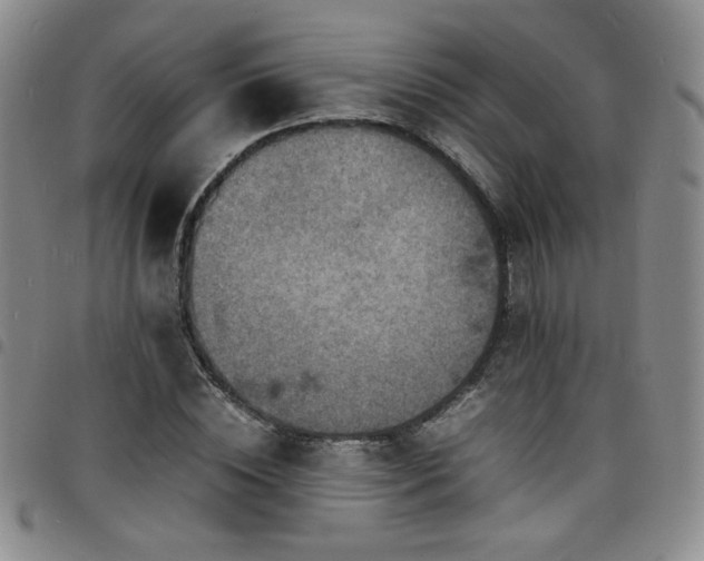 X0000098160828200804241802