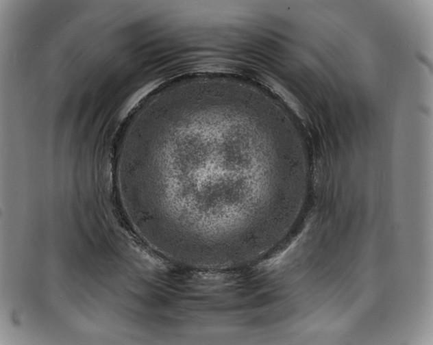 X0000098160829200804241802