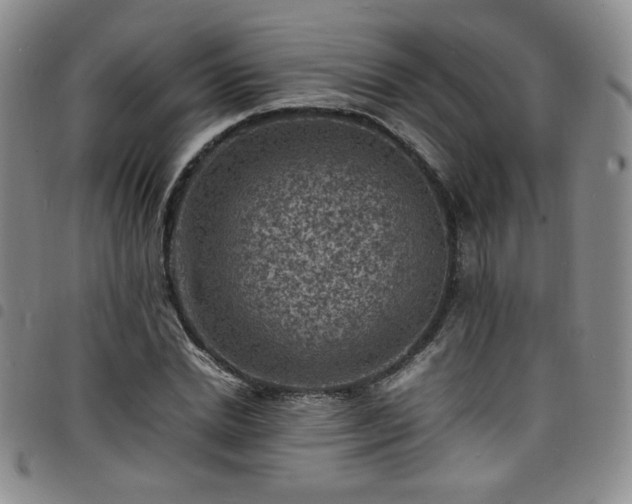 X0000098160830200804241802