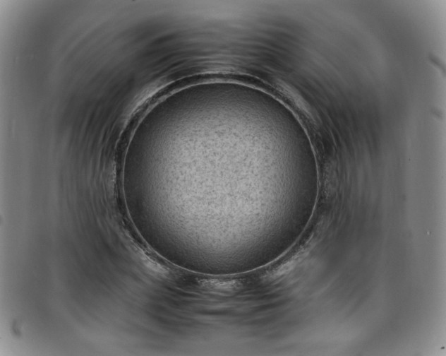 X0000098160831200804241802
