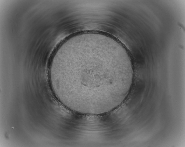 X0000098160832200804241802