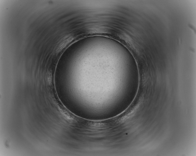 X0000098160833200804241802