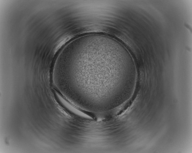 X0000098160834200804241802