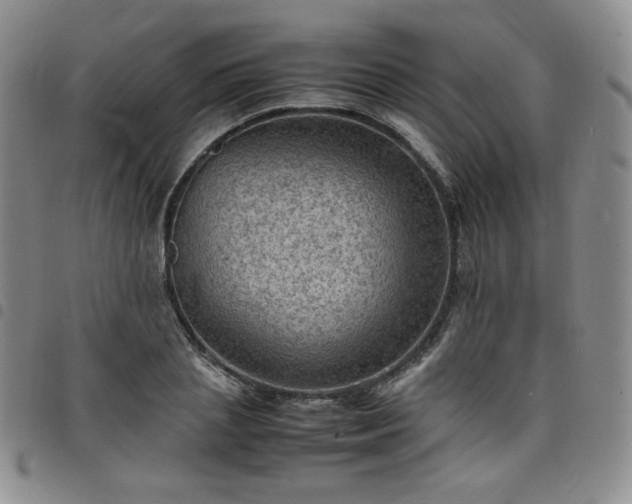 X0000098160837200804241802