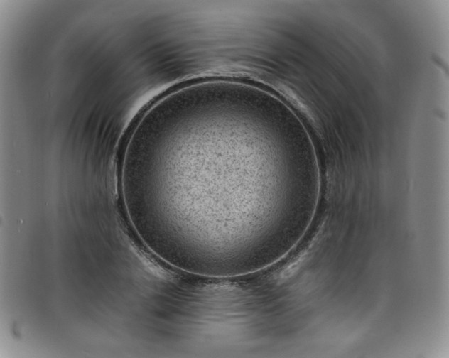 X0000098160838200804241802