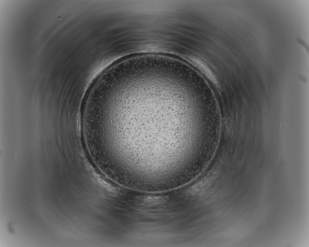 X0000098160839200804241802