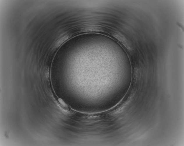 X0000098160841200804241802