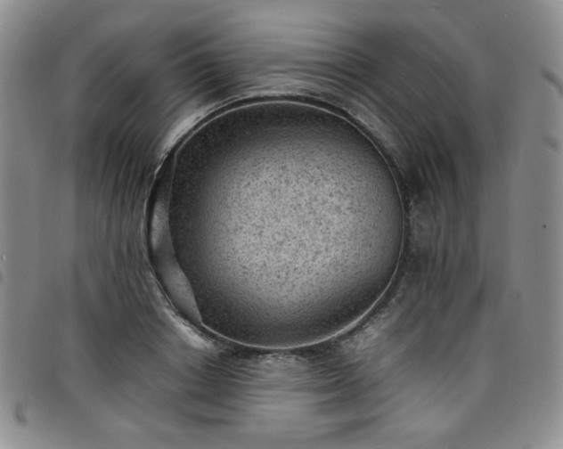 X0000098160842200804241802