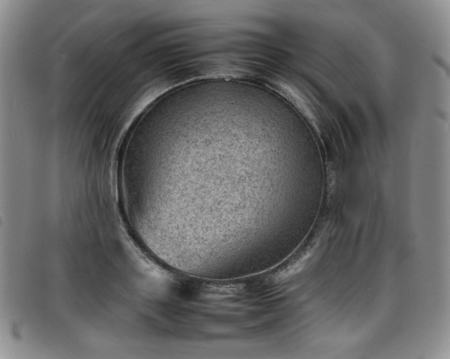 X0000098160843200804241802