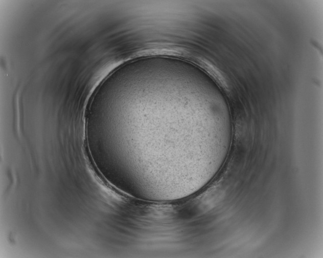 X0000098160844200804241802