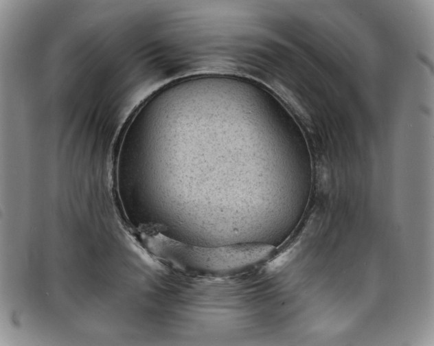X0000098160846200804241802