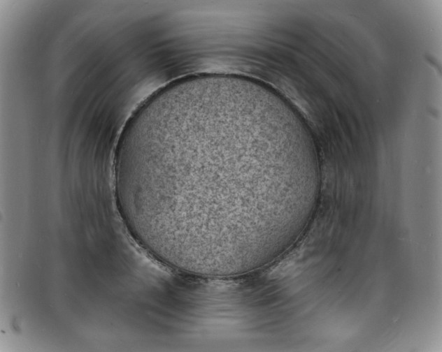 X0000098160848200804241802
