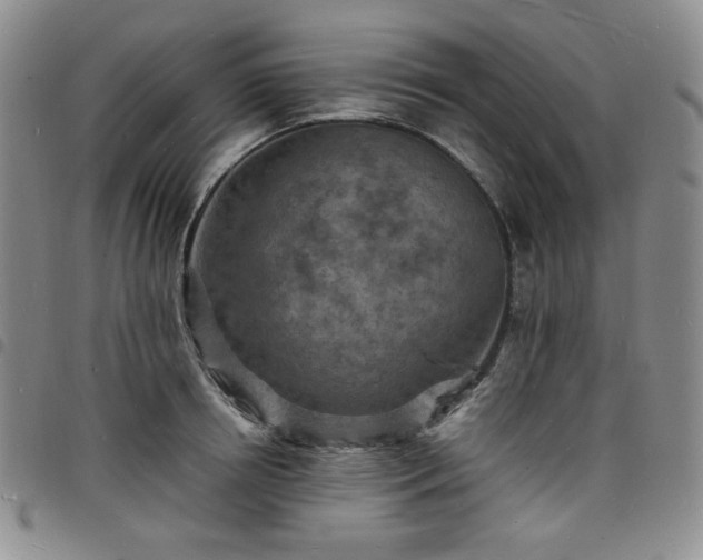 X0000098160850200804241802
