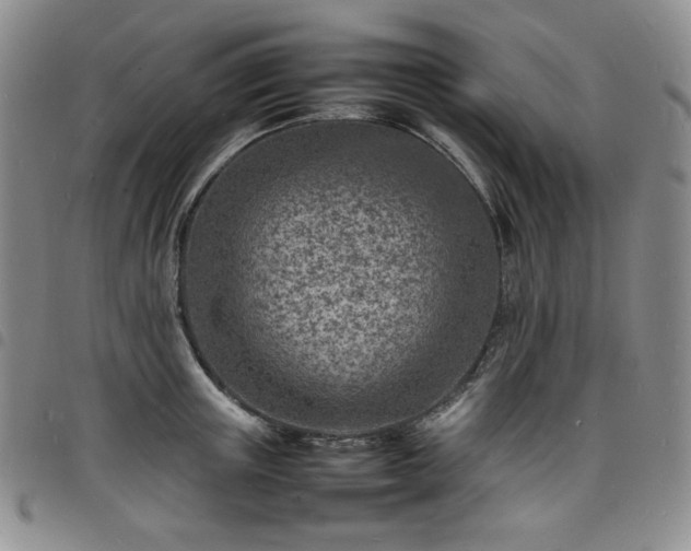X0000098160851200804241802