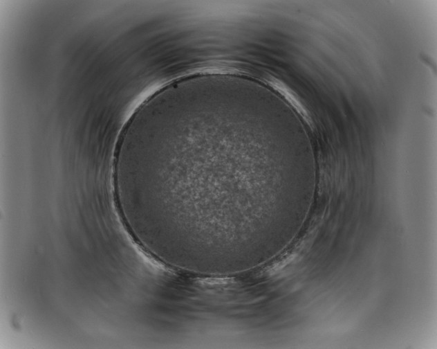 X0000098160853200804241802
