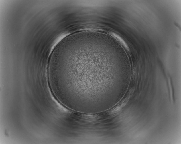 X0000098160855200804241802