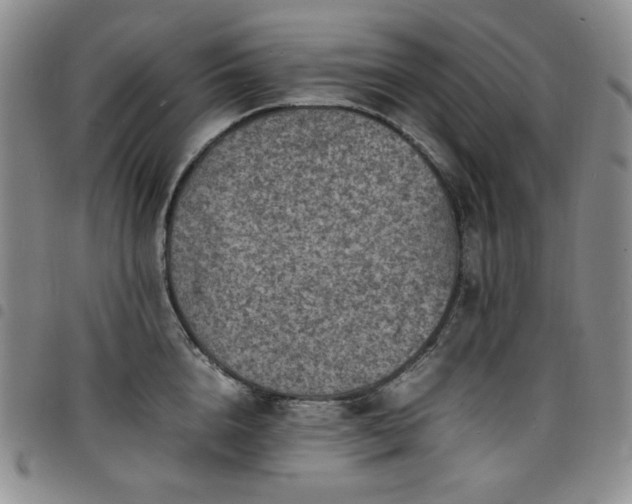 X0000098160856200804241802