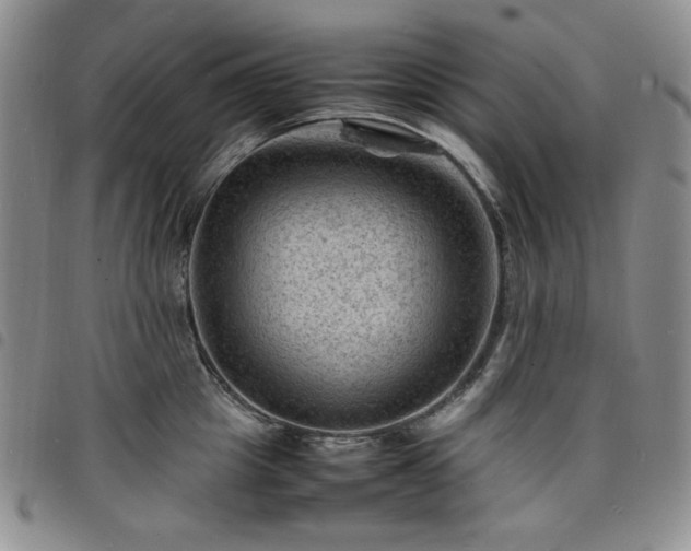 X0000098160857200804241802