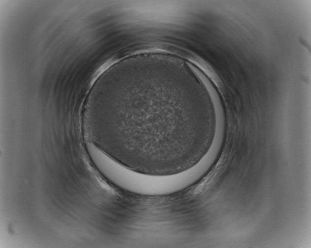 X0000098160858200804241802
