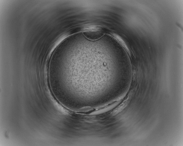 X0000098160859200804241802