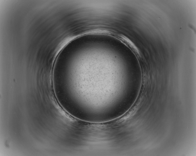 X0000098160860200804241802