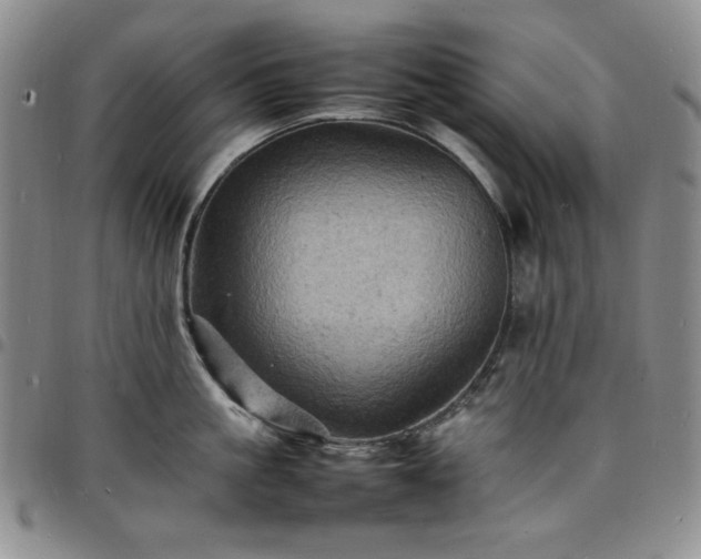 X0000098160861200804241802