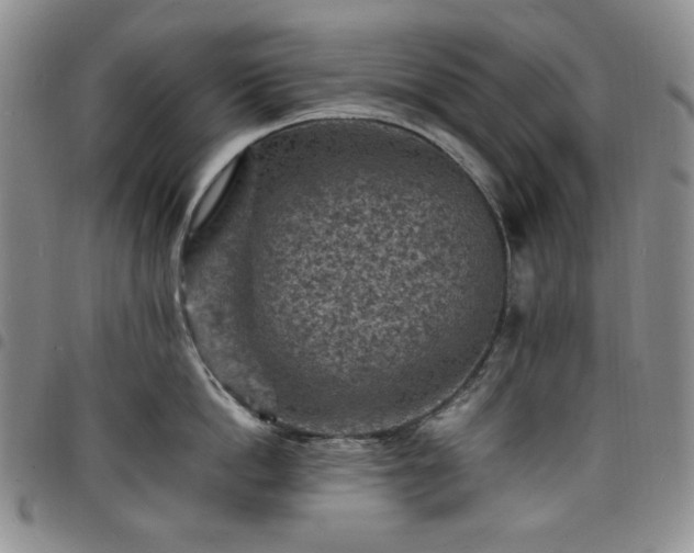 X0000098160862200804241802