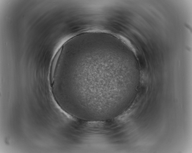 X0000098160863200804241802